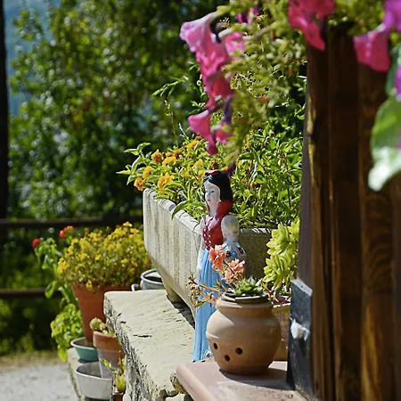 Country Cottage In Marche With Swimming Pool Apecchio